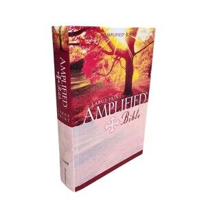 Amplified Bible Large Print Bible  Hardcover 1987 Zondervan hardcover